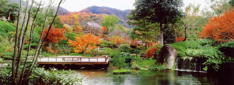 日本庭園