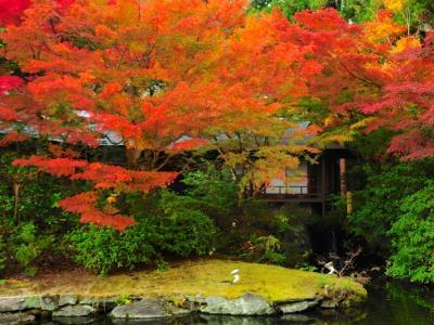 日本庭園