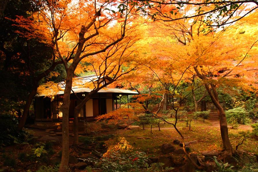 日本庭園