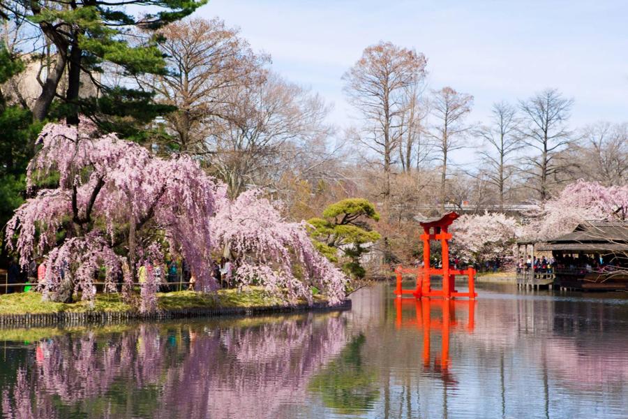 日本庭園