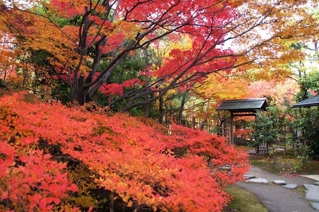 日本庭園