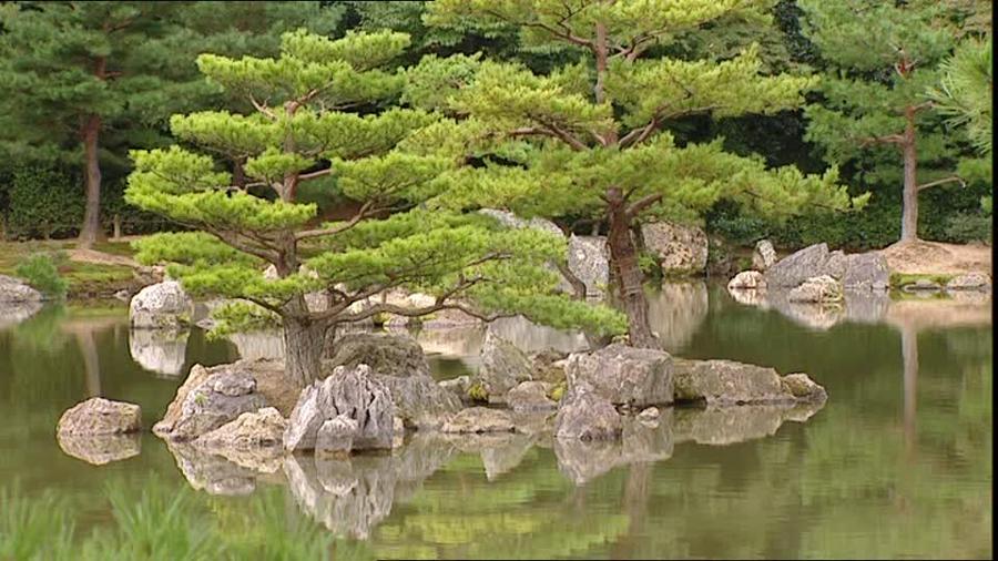 日本庭園