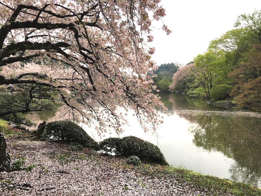 日本庭園