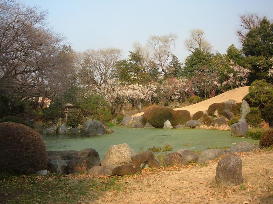日本庭園