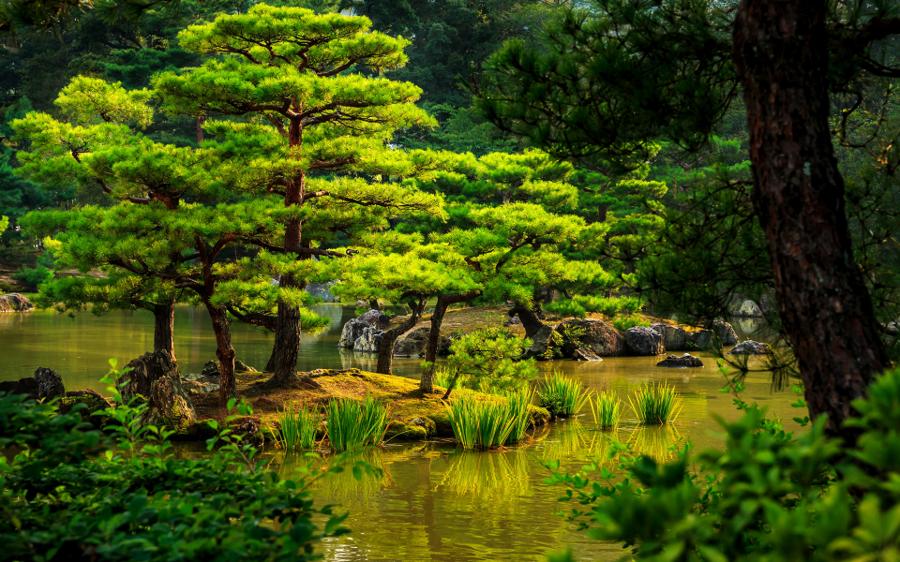 日本庭園