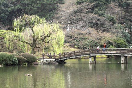 日本庭園