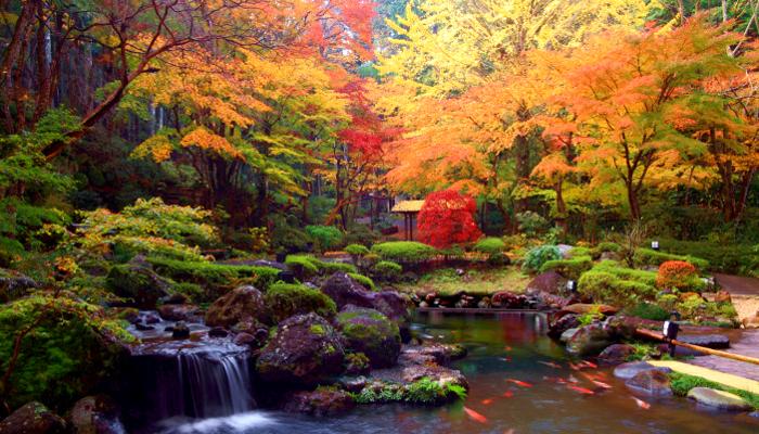 日本庭園