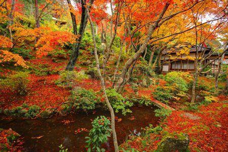 日本庭園