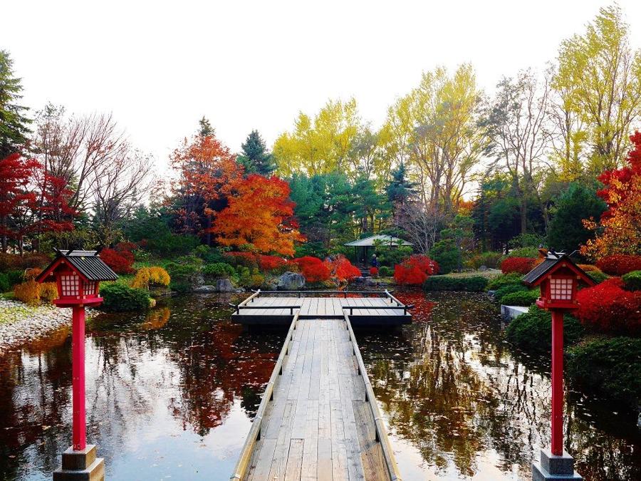 日本庭園