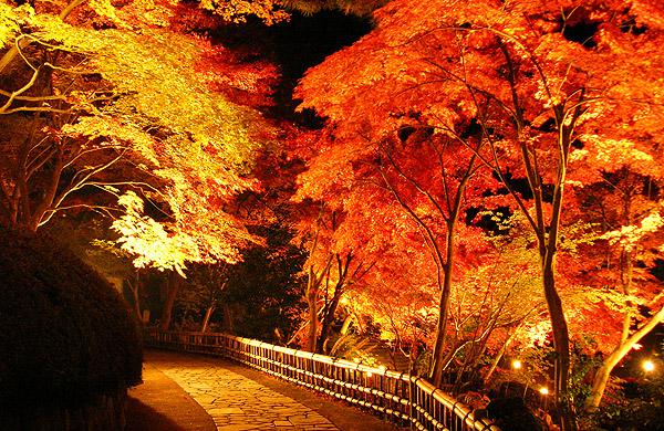 日本庭園