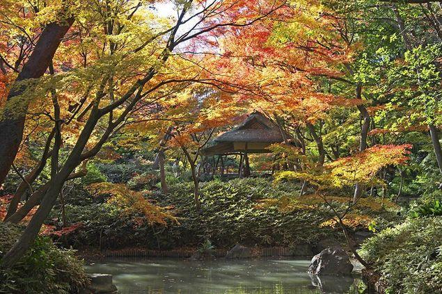 日本庭園