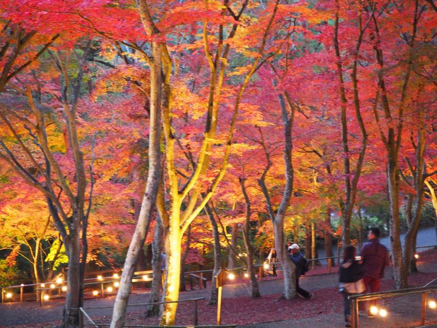 日本庭園