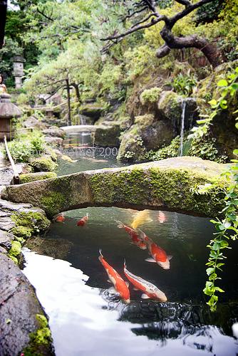 日本庭園