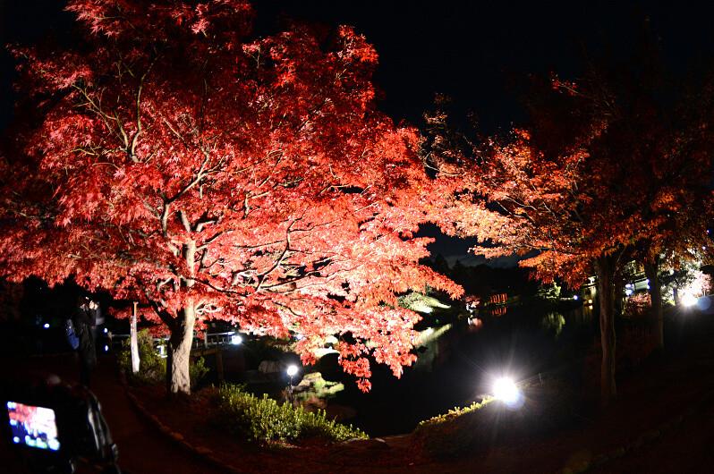 日本庭園