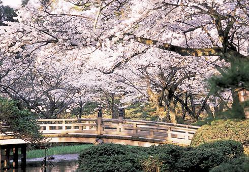 日本庭園