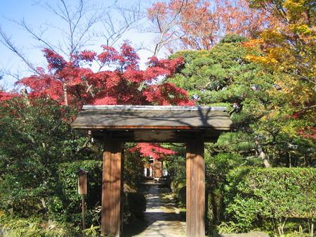 日本庭園