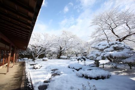日本庭園