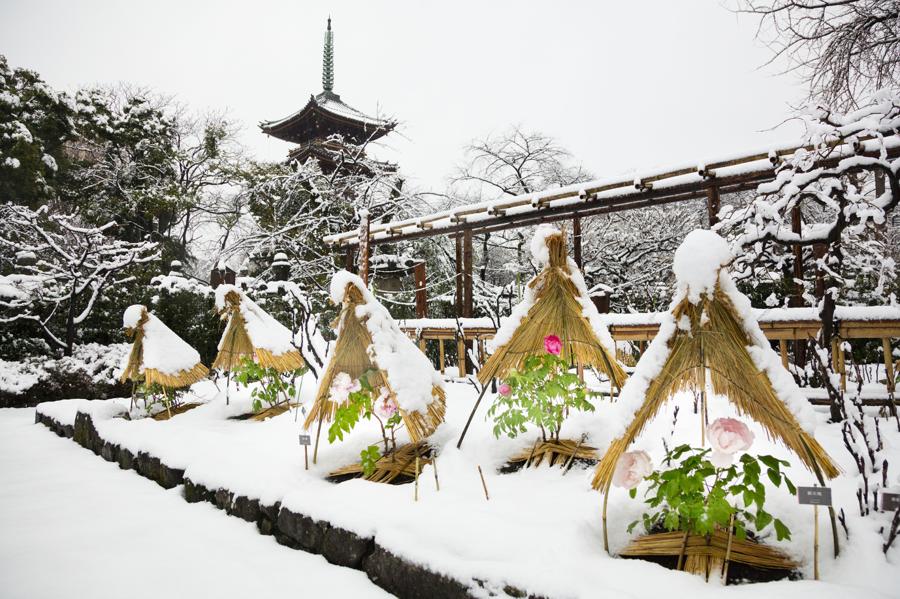 日本庭園