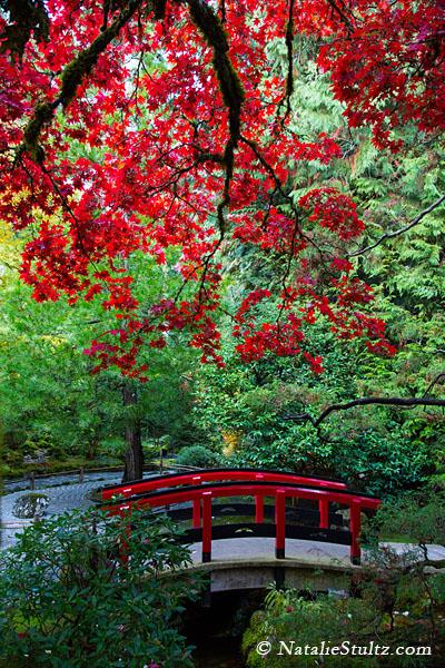 日本庭園