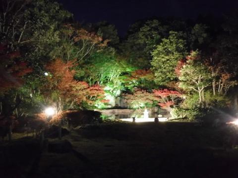 日本庭園