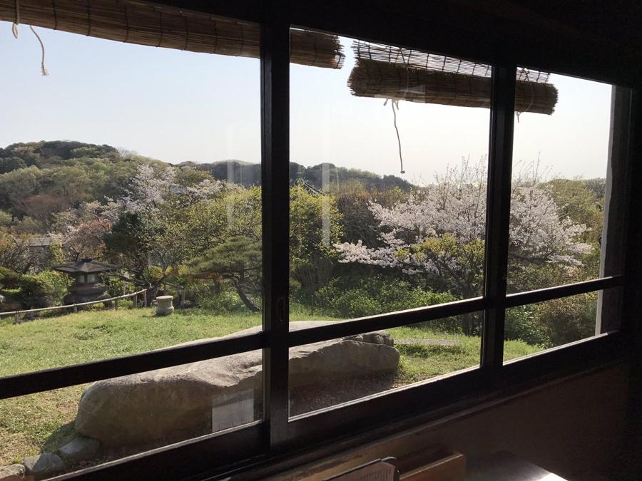 日本庭園