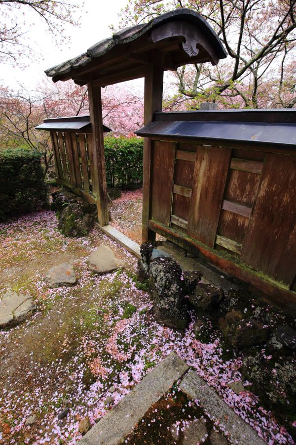日本庭園
