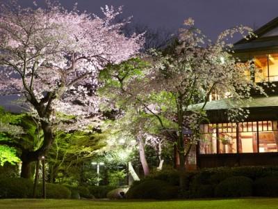 日本庭園