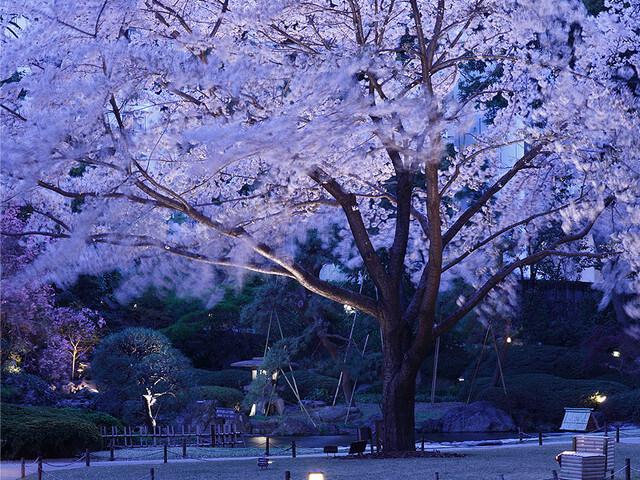 日本庭園
