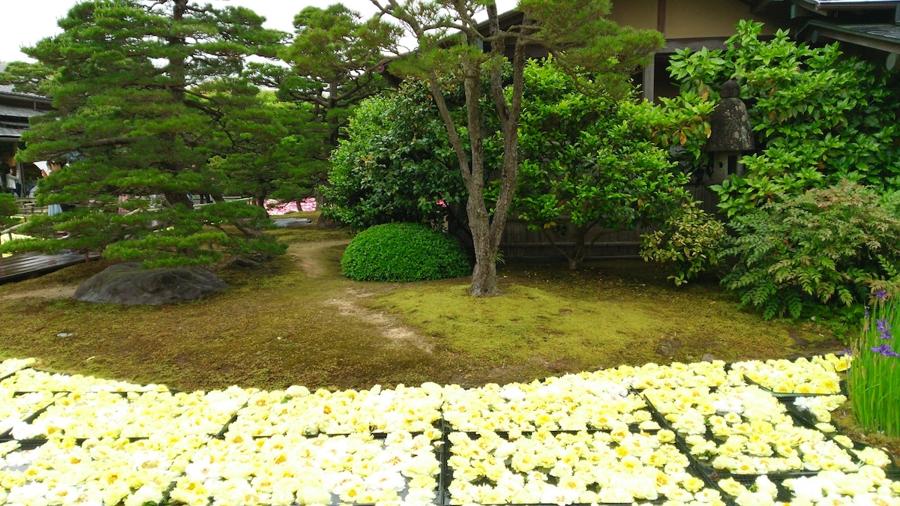 日本庭園