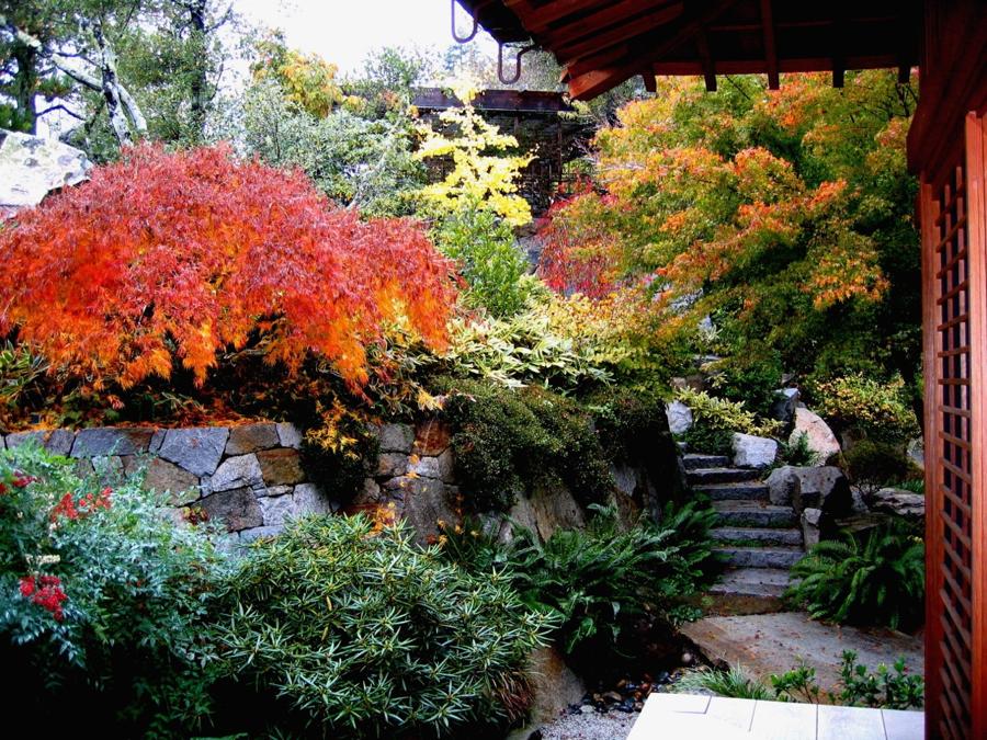日本庭園
