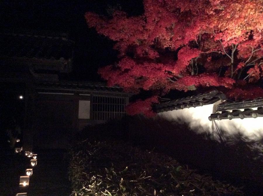 日本庭園