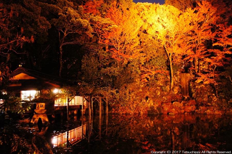日本庭園