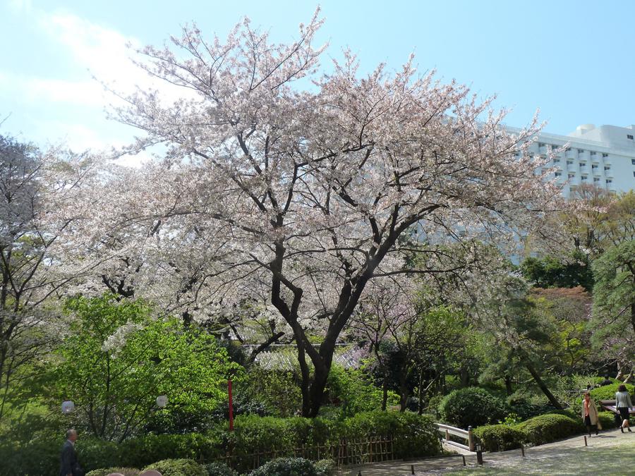 日本庭園