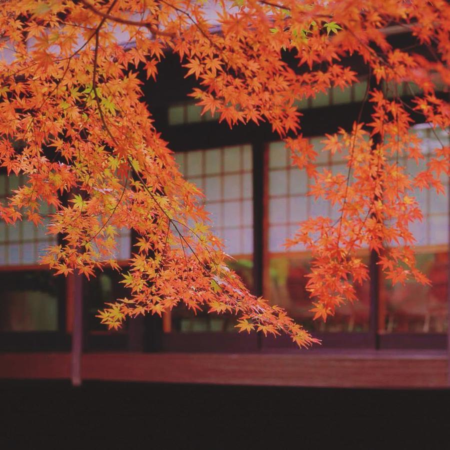 日本庭園