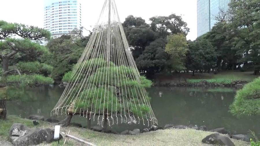 日本庭園