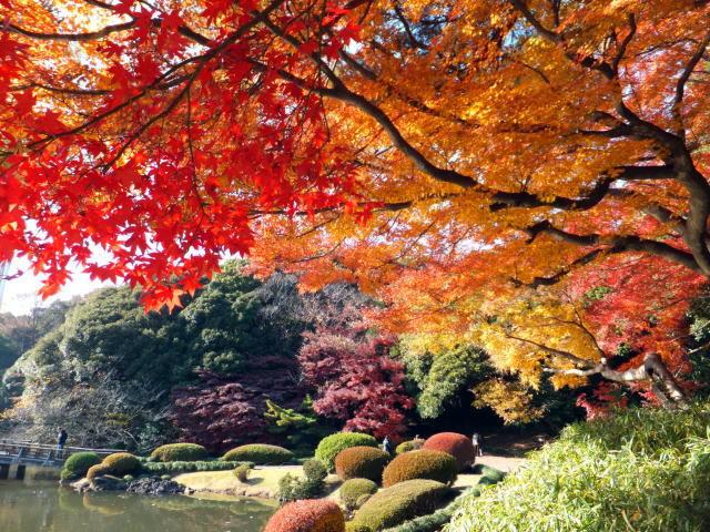 日本庭園