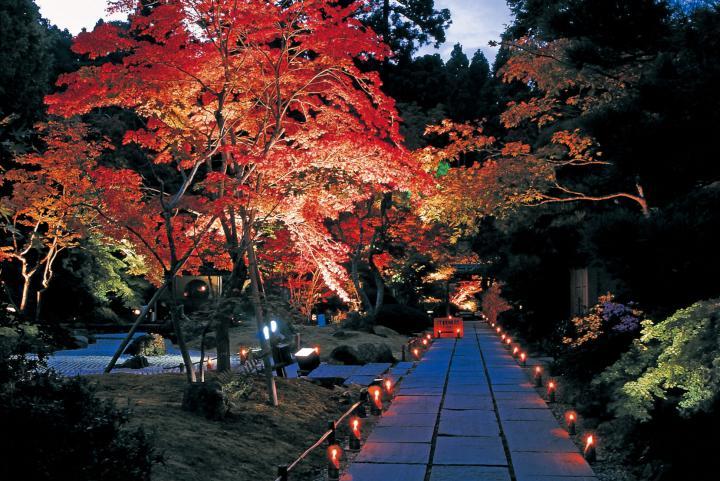 日本庭園