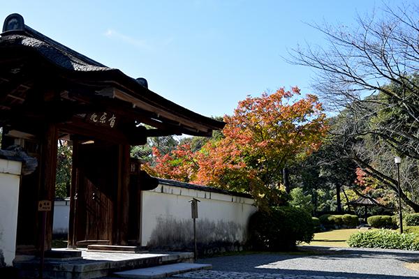 日本庭園