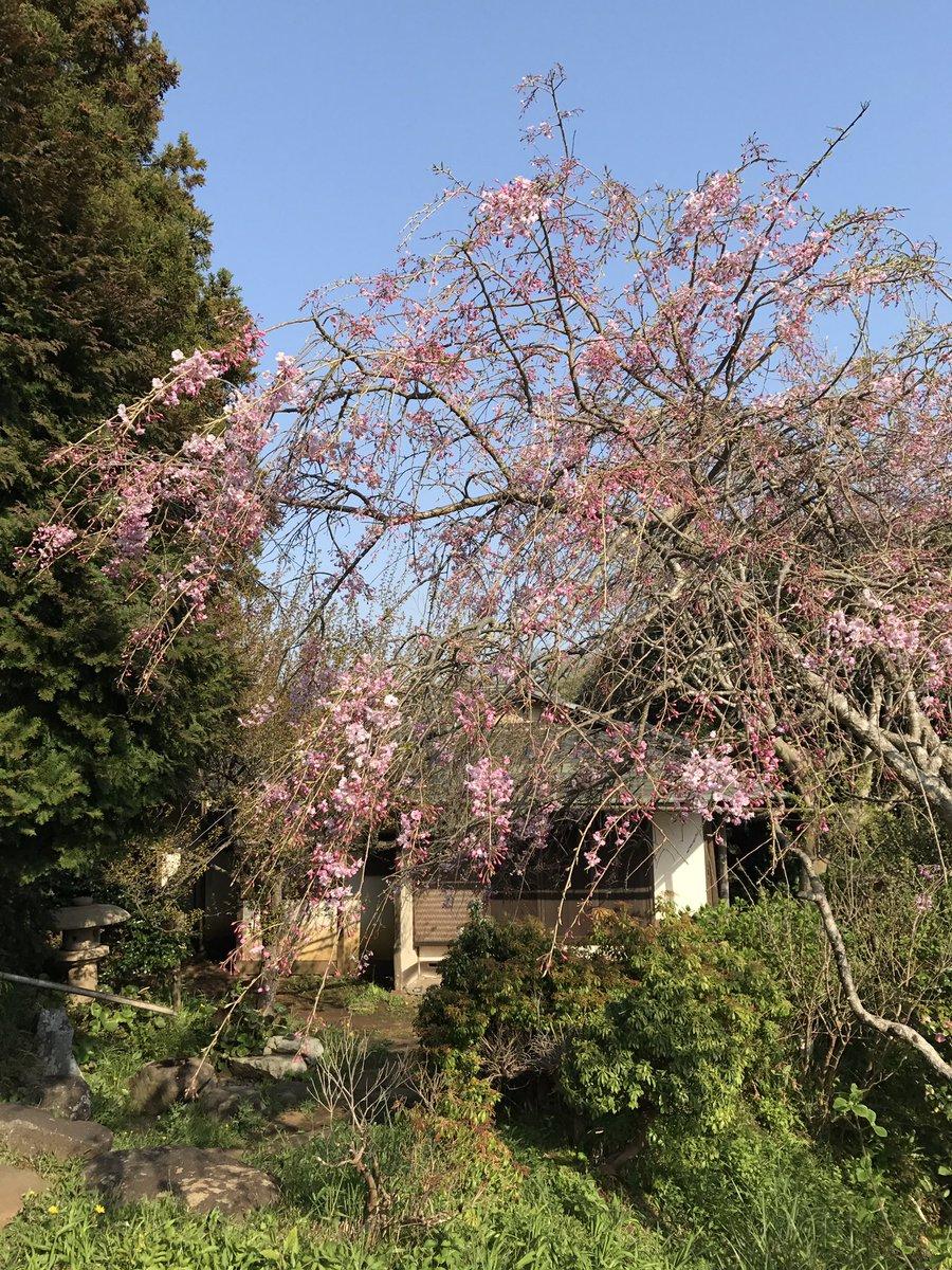 日本庭園