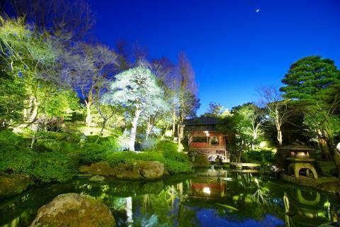 日本庭園