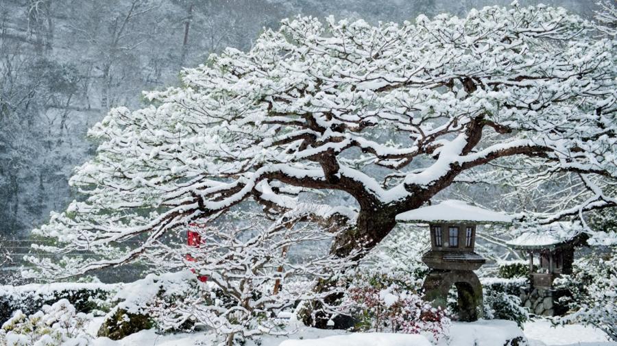 日本庭園