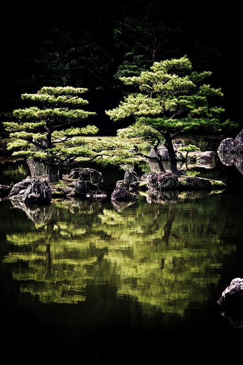 日本庭園