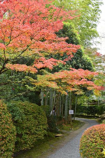 日本庭園