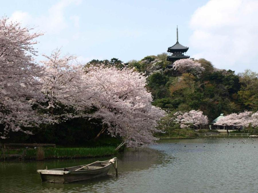 日本庭園