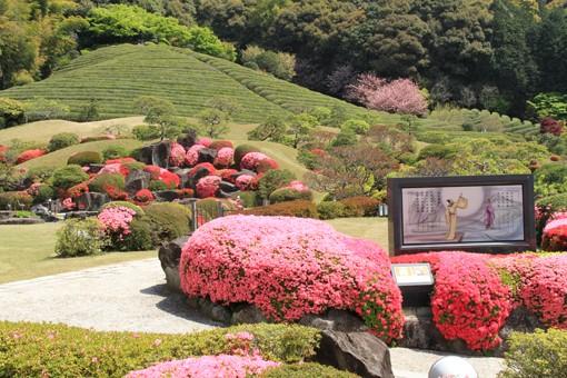 日本庭園