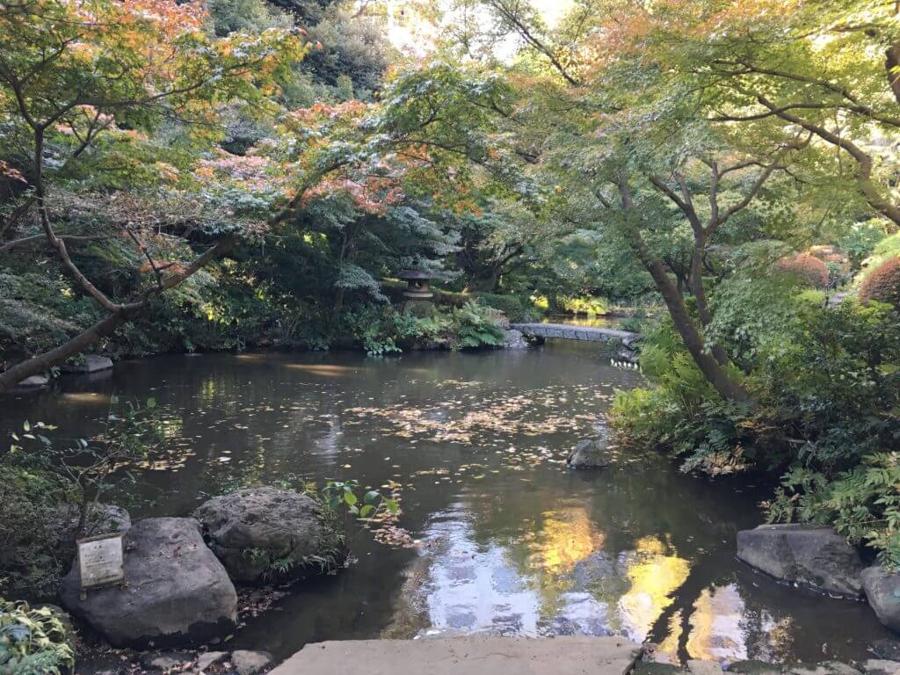 日本庭園