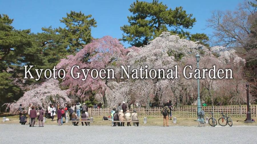日本庭園