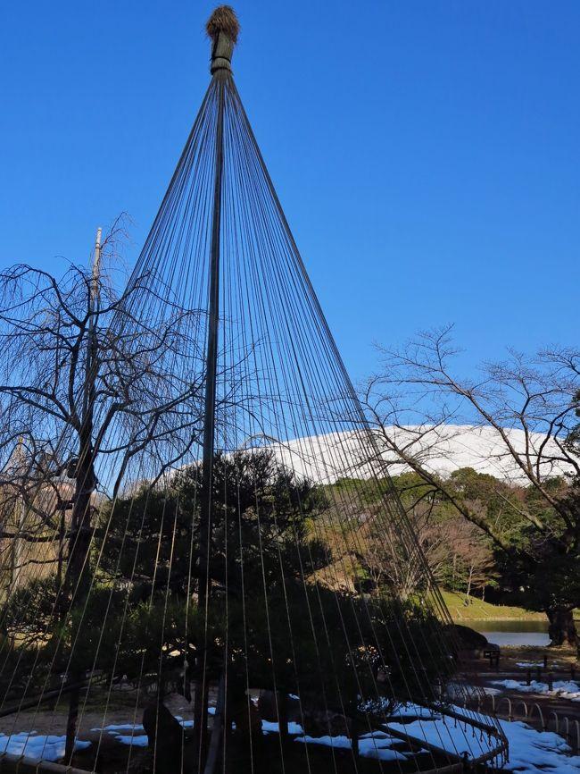 日本庭園