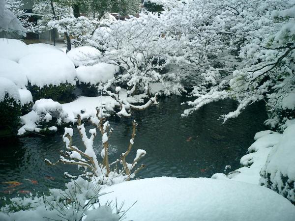 日本庭園