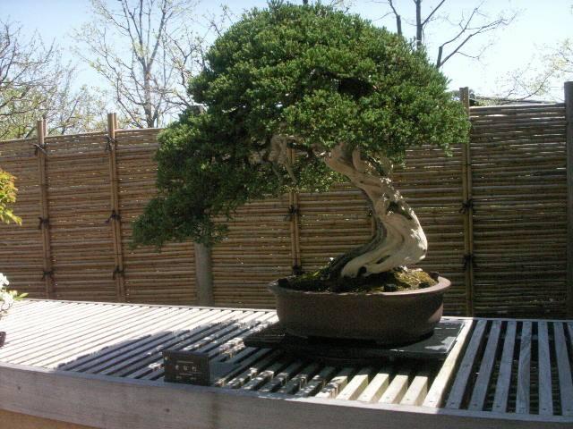 日本庭園